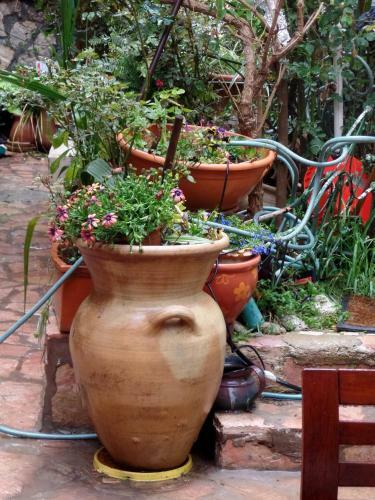 Cozy Garden