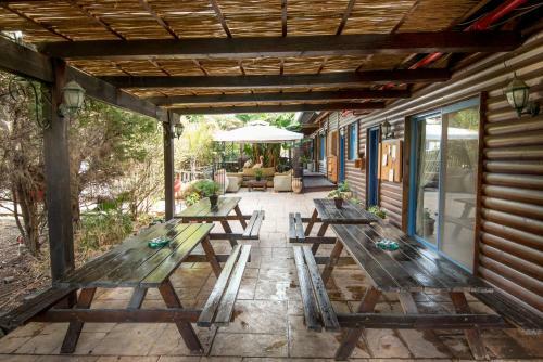 Lodge Pine Tree Cabin