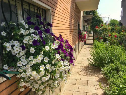 B&B La Falconera