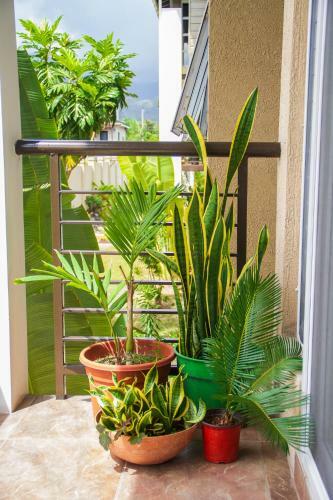 Two Bedroom Apartment In Kingston