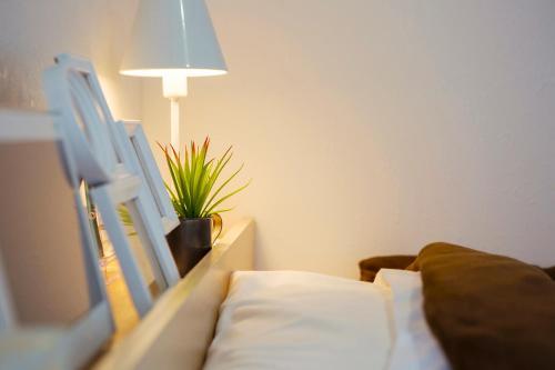 Apartamentos Guesthouse Life Field