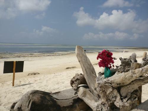 Malaika Beach Villas