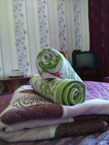 Hostal Lotos Guest House