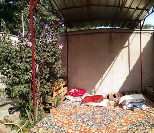 Hostal Lotos Guest House