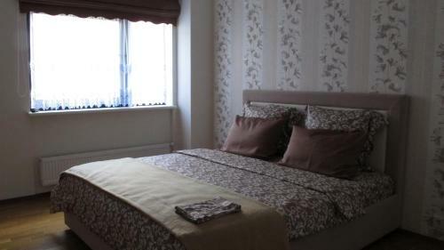 Mindaugo Apartment 23a