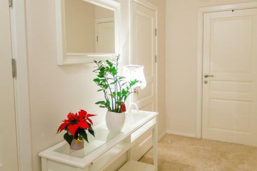 Apartamento 2 Bedroom/2 Bathroom Old Town
