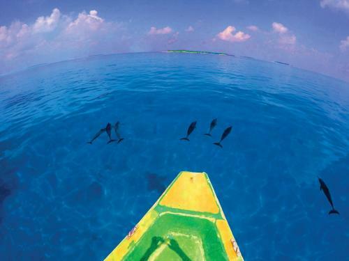 Hostal Ithaa Inn Kamadhoo