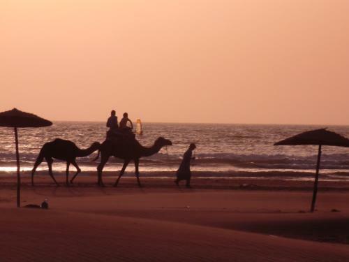 Bed & Breakfast Sidi Kaouki Al Vent