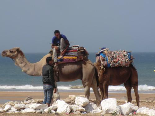 Bed & Breakfast Sidi Kaouki Al Vent