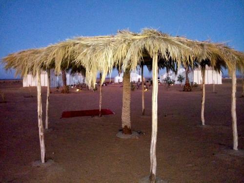 Camp Camelhouse Merzouga