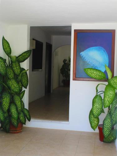 Hotel & Caba�as Zazil Kin Tulum