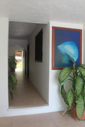 Hotel & Caba�as Zazil Kin Tulum