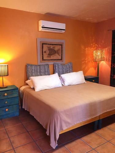 Hostal Leo's Baja Oasis