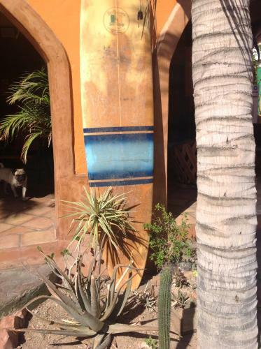 Hostal Leo's Baja Oasis