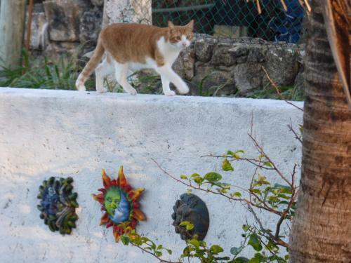 Apartamento Casa Pastel 2