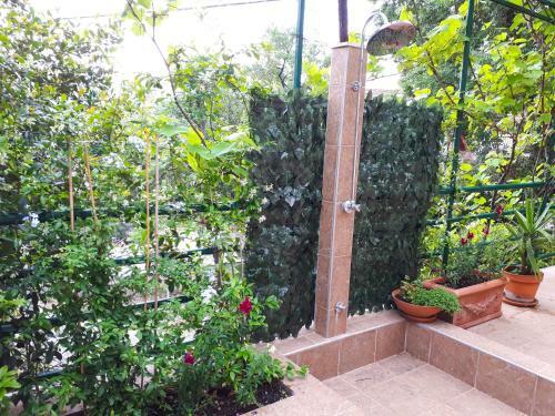 Apartamento Ecohouse Risan Studio
