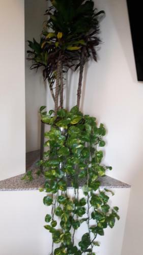 Hotel Y Villas Natura