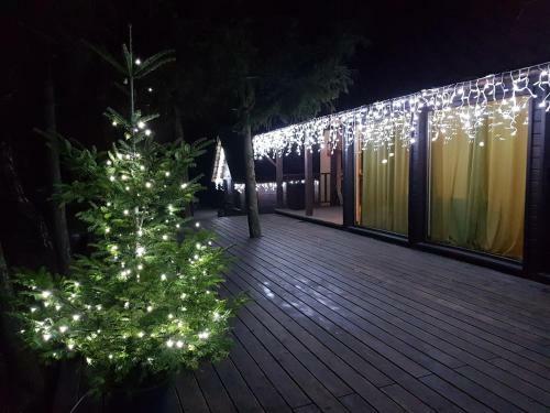 Hotel Tree House