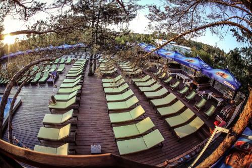 Hotel Tree House