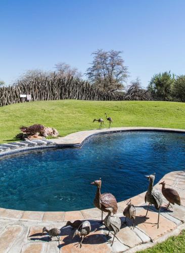 Okonjima Luxury Bush Camp