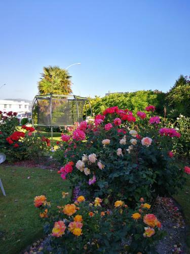 Apartamento Phoenix Resort - Taupo