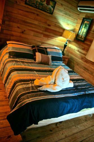 Hotel Oasis Surf Camp