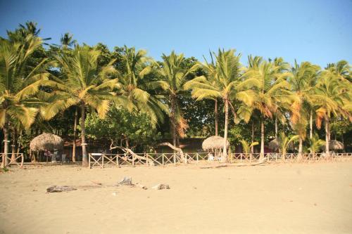 Hotel Oasis Surf Camp
