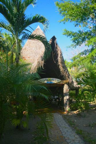 Hotel Oasis Surf Camp