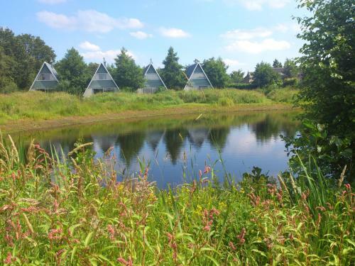 B&B Het Farm-house Natuurpark