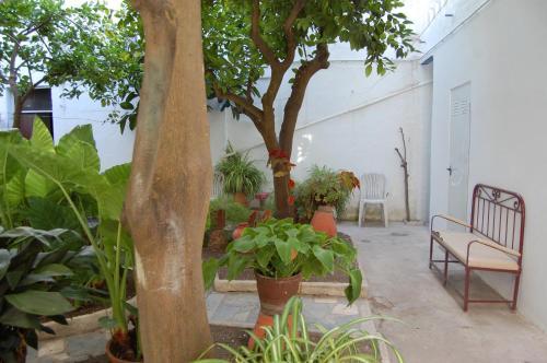 Albergue Hospedaria Santa Maria