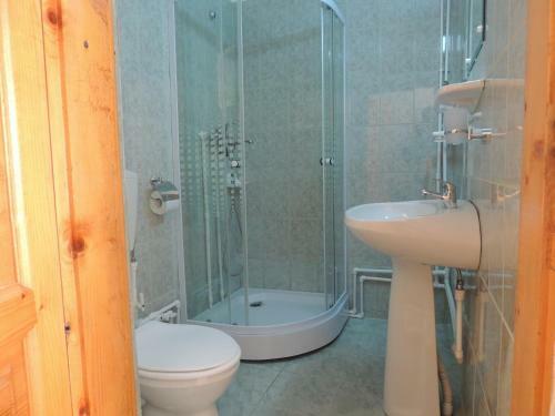 Hostal Pensiunea Iulia Sulina