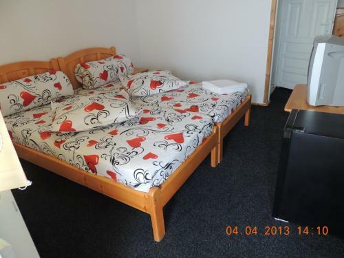 Hostal Pensiunea Iulia Sulina