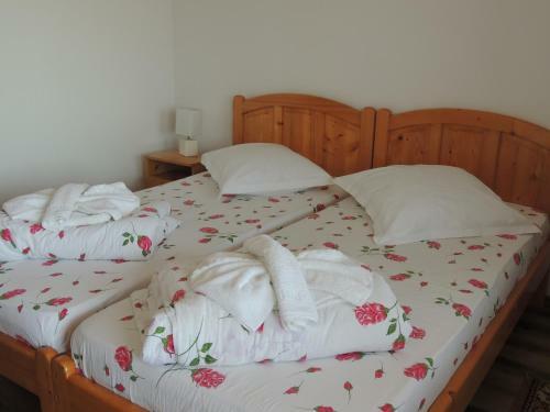 Hostal Pensiunea Iulia Sulina