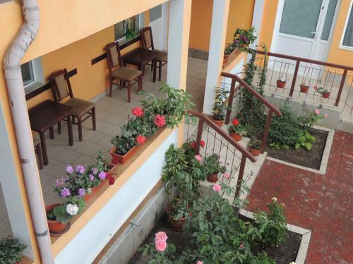 Hostal Pensiunea Iulia Sulina