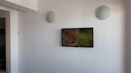 Apartamentos Studio Montana