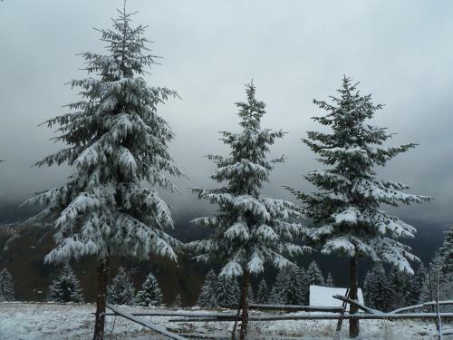 Hostal Ranger Chalet