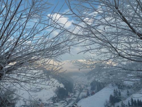 Hostal Ranger Chalet