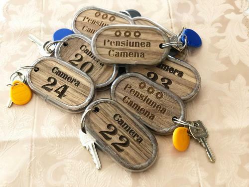 Hostal Pensiunea Camena