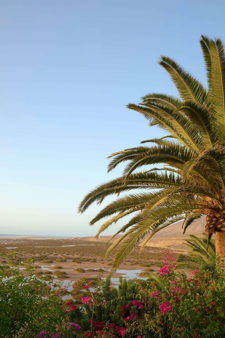 Hotel Meli� Fuerteventura