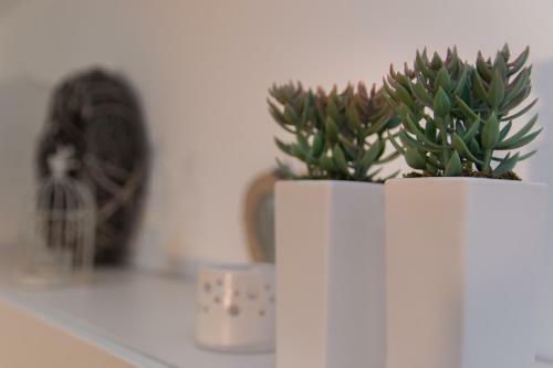 Premium Apartments