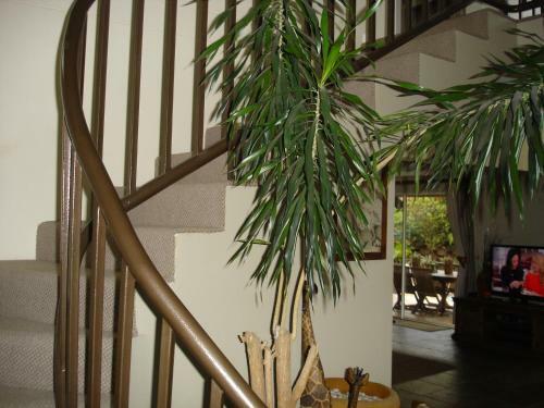 Hostal Bella Vista Guest House
