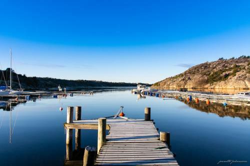 Sel�ter Camping