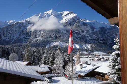 Apartamento Ferienwohnung Chalet Bergblume
