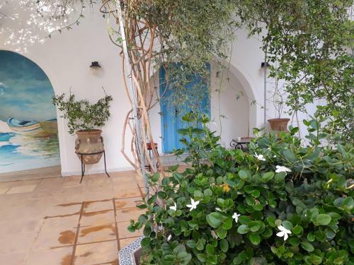 Apartamento R�sidence Nour