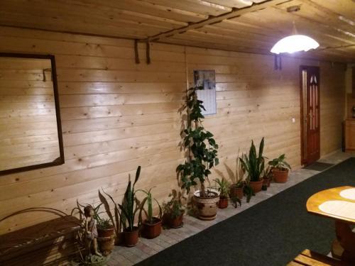 Hostal Bee House