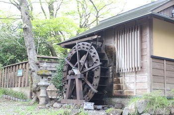 Hakone Guest House Toi - Hostel