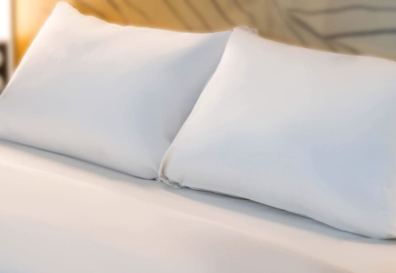 Hotel Ibis Niort Marais Poitevin