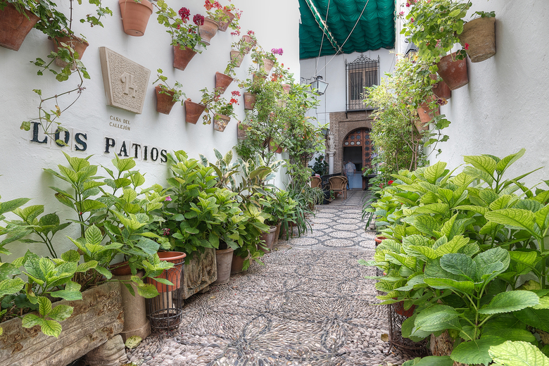 Hotel Los Patios