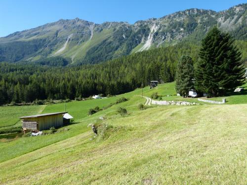 Hostal Alpengasthof K�fels