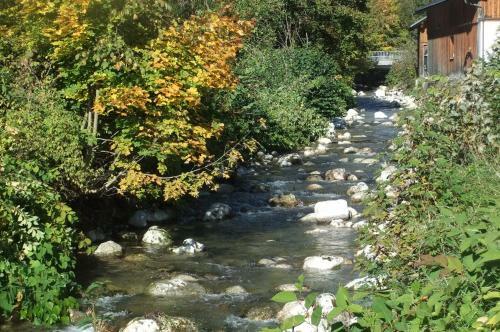 Bed & Breakfast Pension Alpenhof